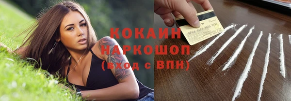 таблы Ельня