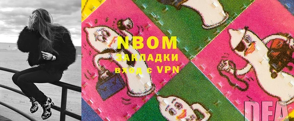 стафф Елизово
