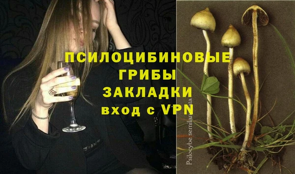 герыч Щучье