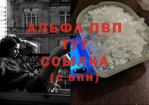 стафф Елизово