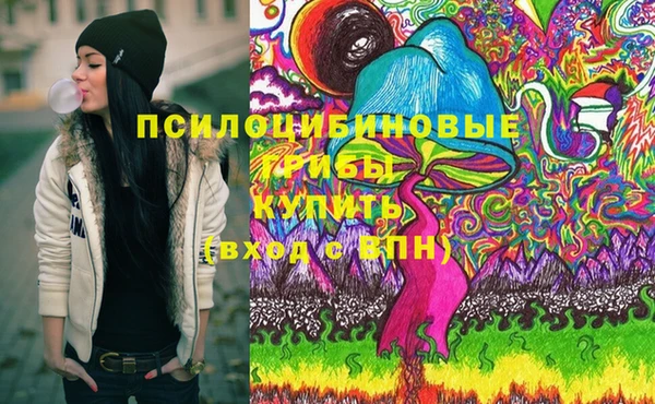таблы Ельня