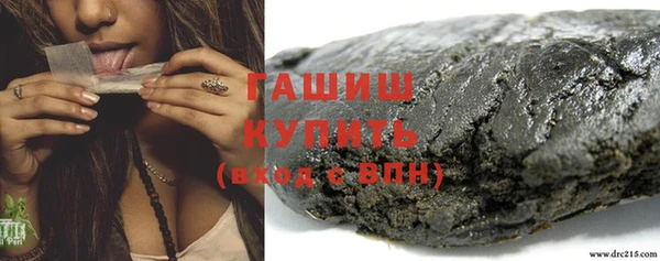 стафф Елизово