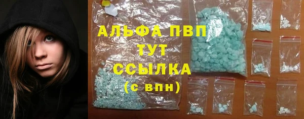 стафф Елизово
